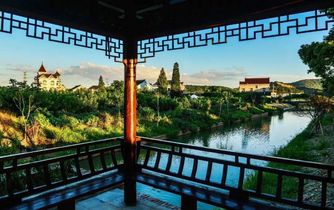 浙江哪里的橘子很有名,浙江最好的橘子