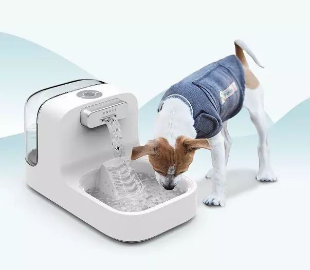 *子烟电**、编程课、代餐：资本寒冬里的赛道品牌，你消费过哪一个？