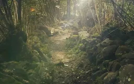 户外迷路怎么办？记住这6点，关键时刻能救命