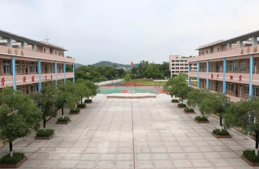 东莞学校被通报,盘点东莞最牛学校