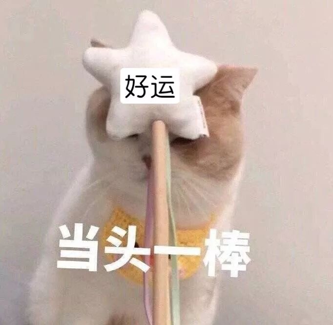 一条全是好运的集锦，据说能给大家带来好运气……