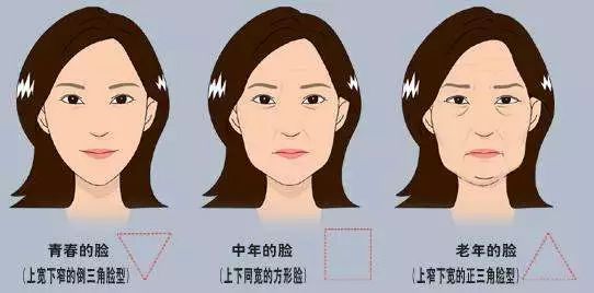 戏精夫妇免费观看,戏精夫妇撒糖电视剧
