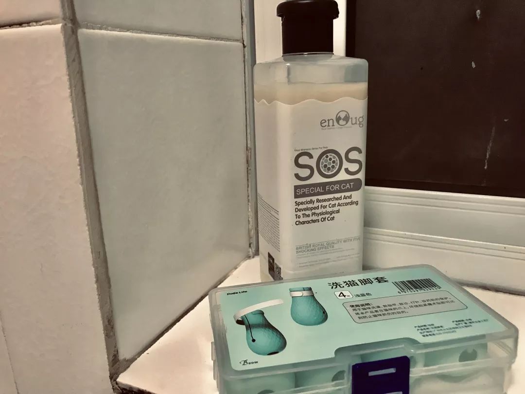 宠物大比拼螃蟹,宠物种类大比拼