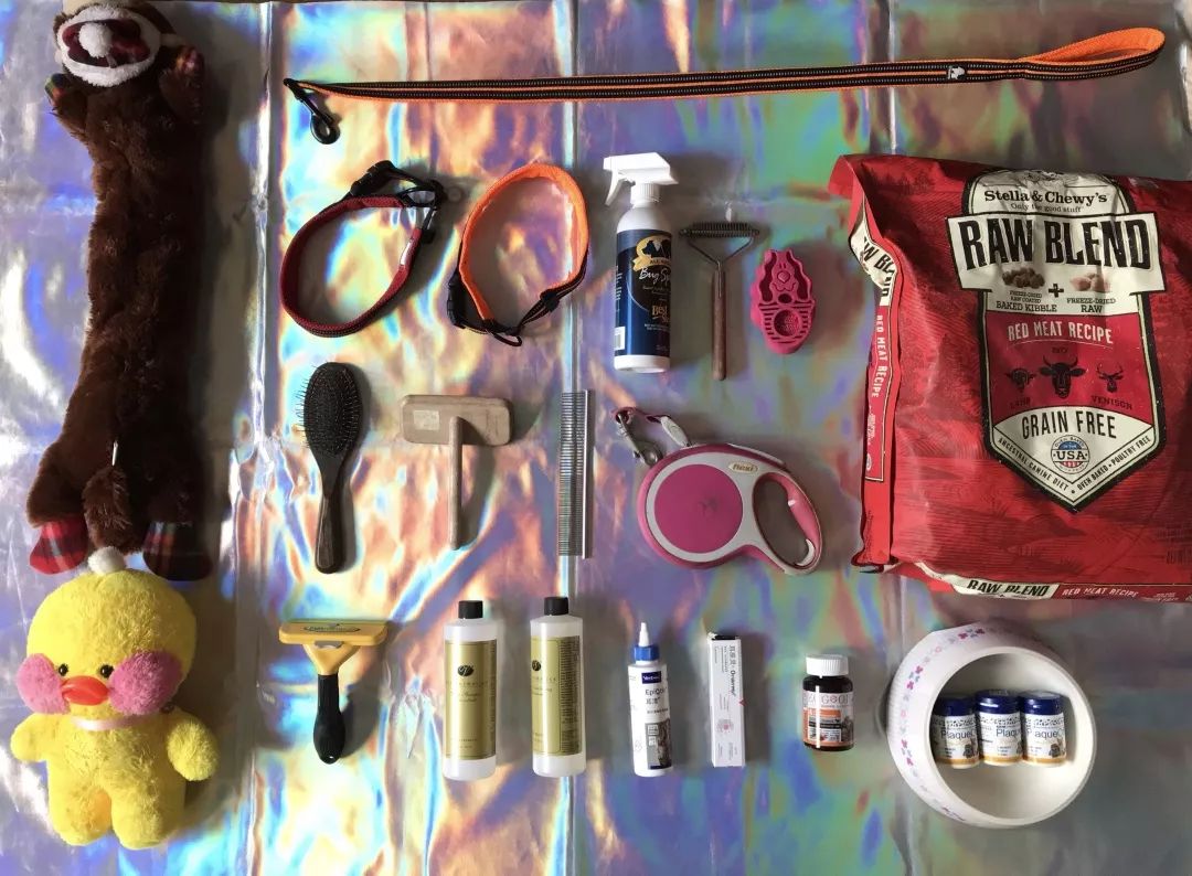 宠物大比拼螃蟹,宠物种类大比拼