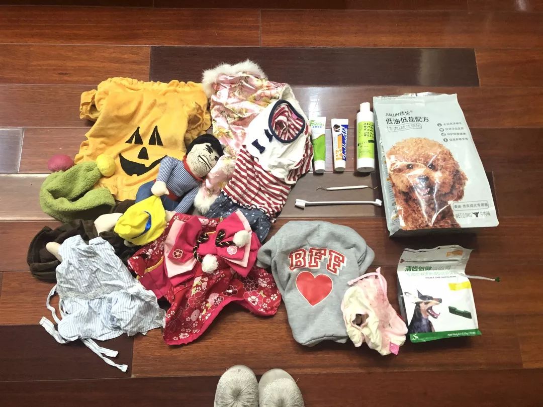 宠物大比拼螃蟹,宠物种类大比拼