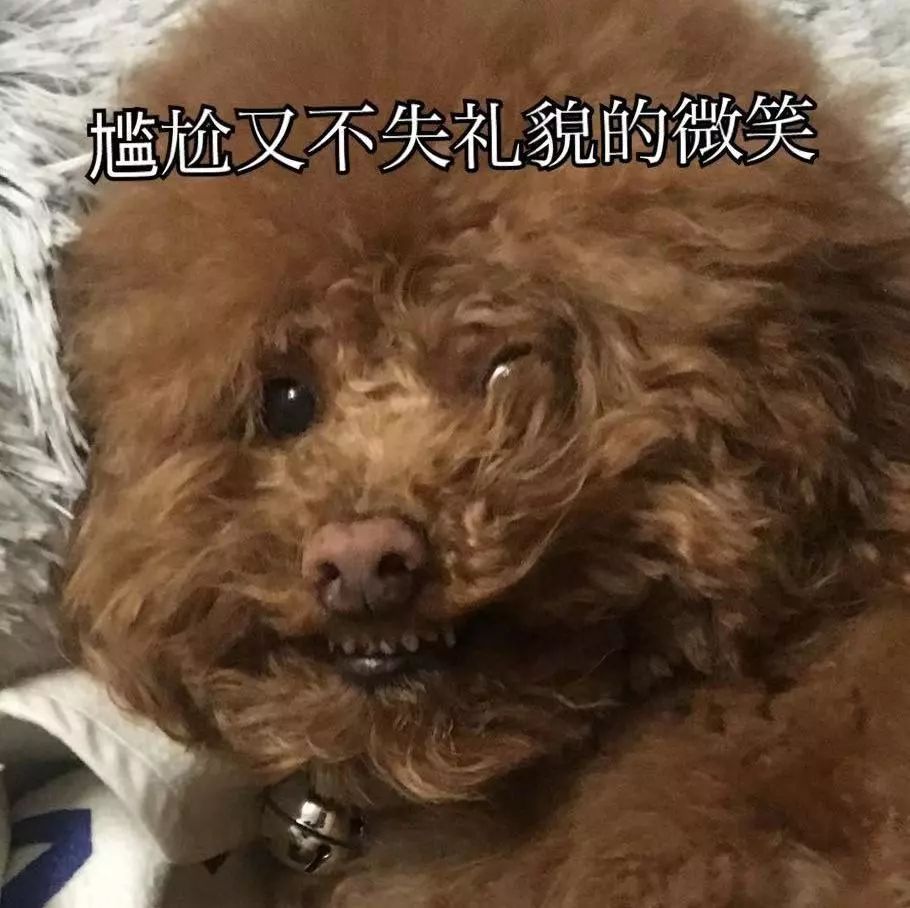 宠物大比拼螃蟹,宠物种类大比拼