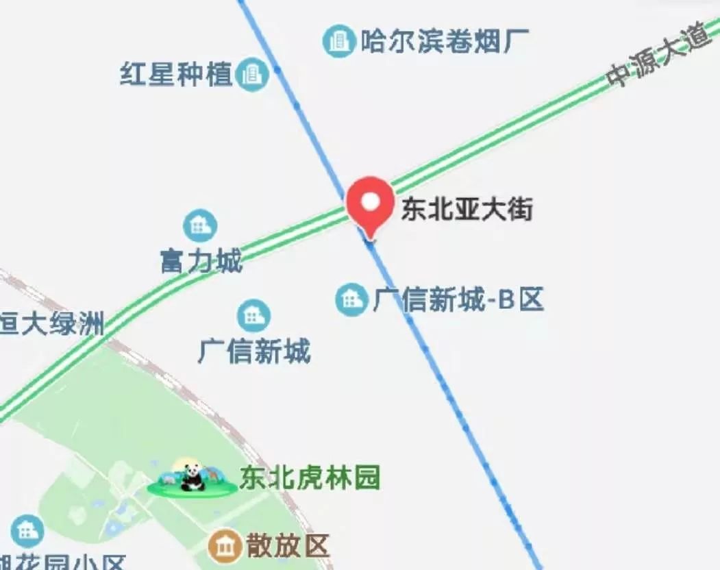 哈尔滨即将投资的足球场,哈尔滨新区公园扩建