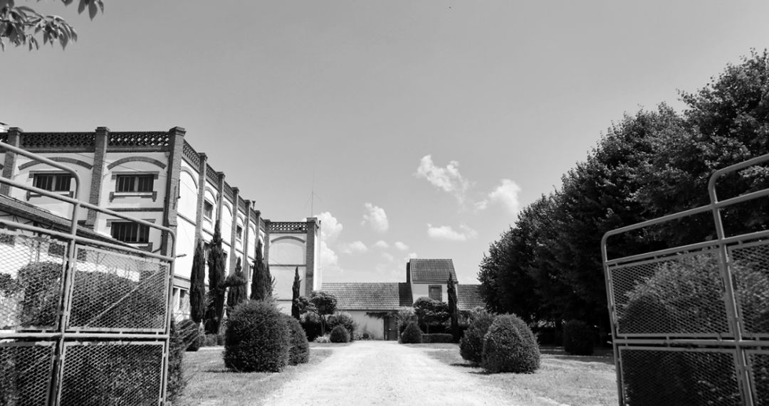 断货神器哪个好,传说中的断货王神器比国产还便宜