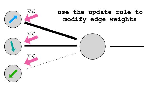 神经元衔接,神经元之间连线的结构是什么