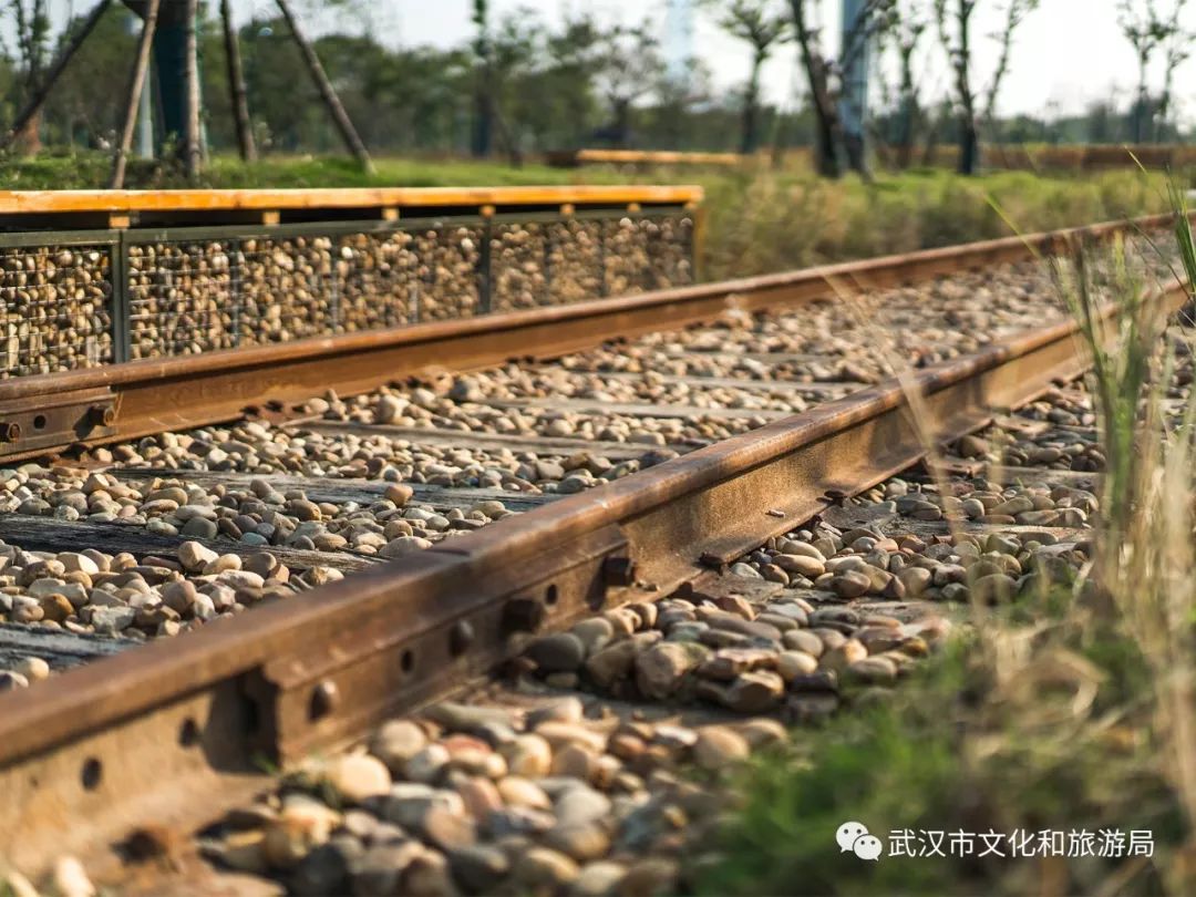 所有女生！江滩“上新”了秋游好去处