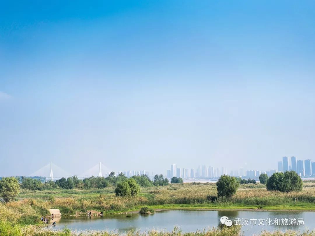 所有女生！江滩“上新”了秋游好去处