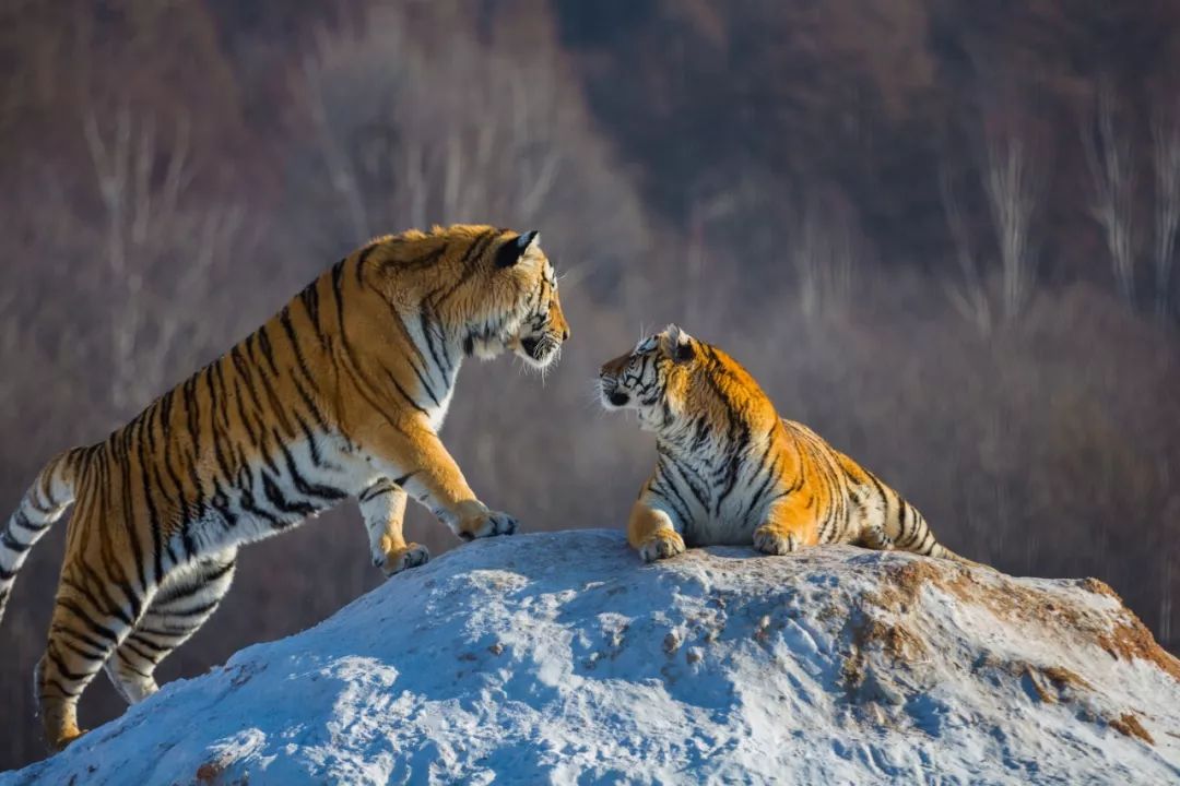 长白山神秘么,长白山有什么自然景象
