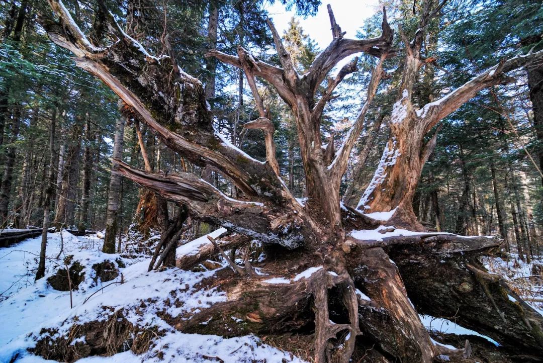 长白山神秘么,长白山有什么自然景象