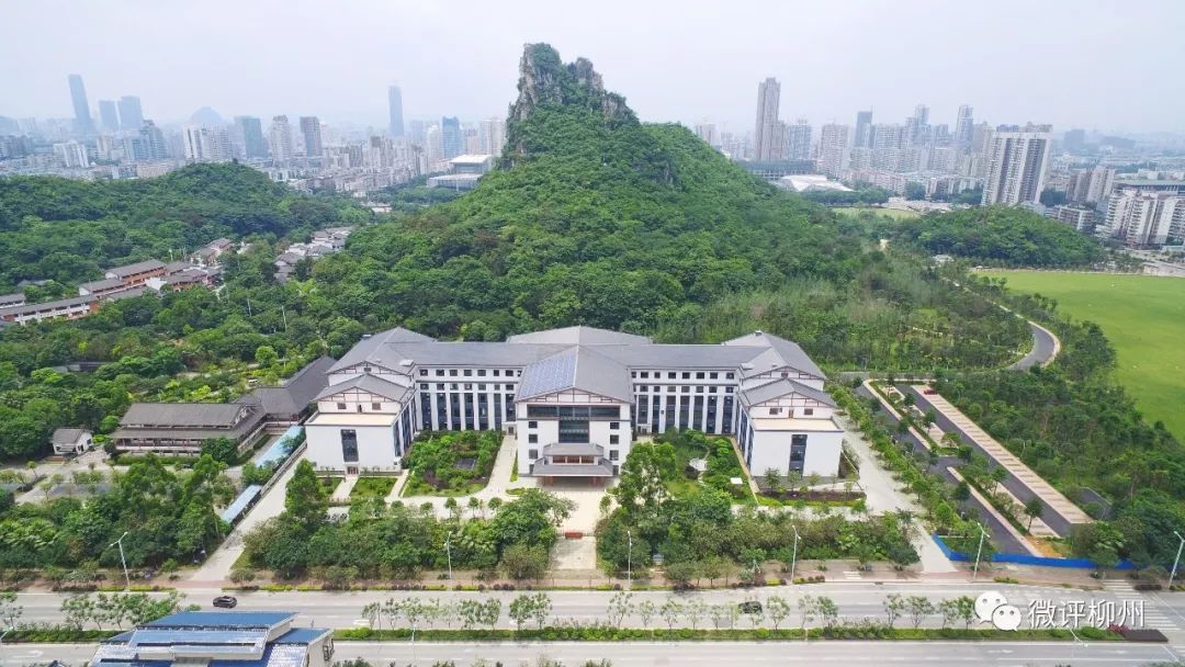 「柳州，父辈的旗帜」从东北到广西“开荒”一家十几个“冶建人”