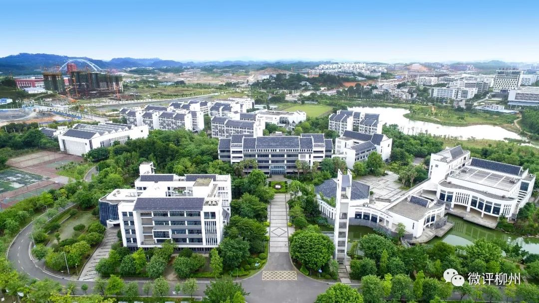 「柳州，父辈的旗帜」从东北到广西“开荒”一家十几个“冶建人”