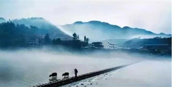 张子豪小戏骨,张子豪拍的连续剧