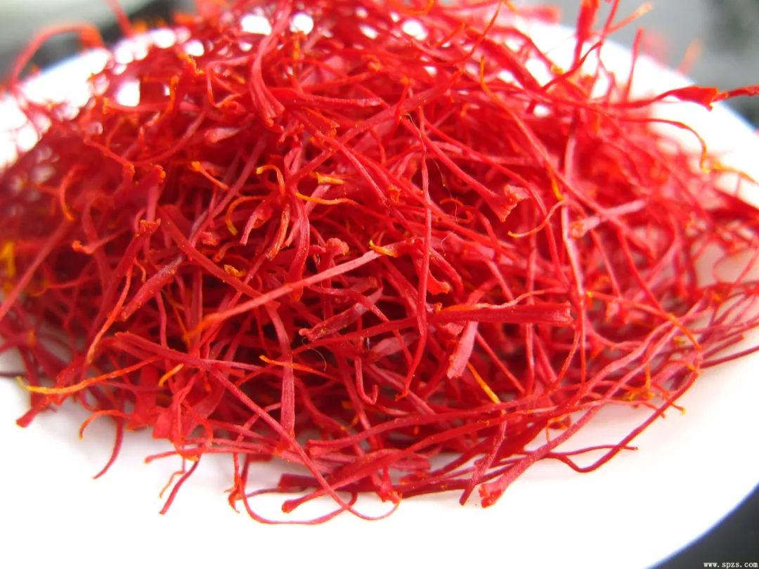 花尖藏红花,紫花藏红花