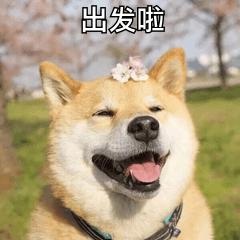 银川到哪里的机票最便宜,从银川到新疆的飞机票全价