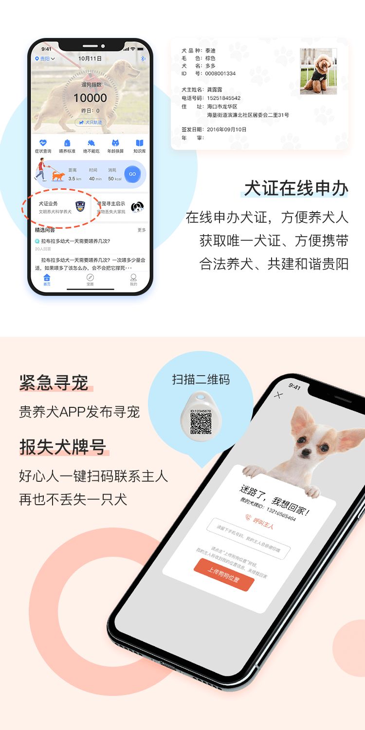 贵阳电子驾驶证开通了吗,贵阳犬证编号