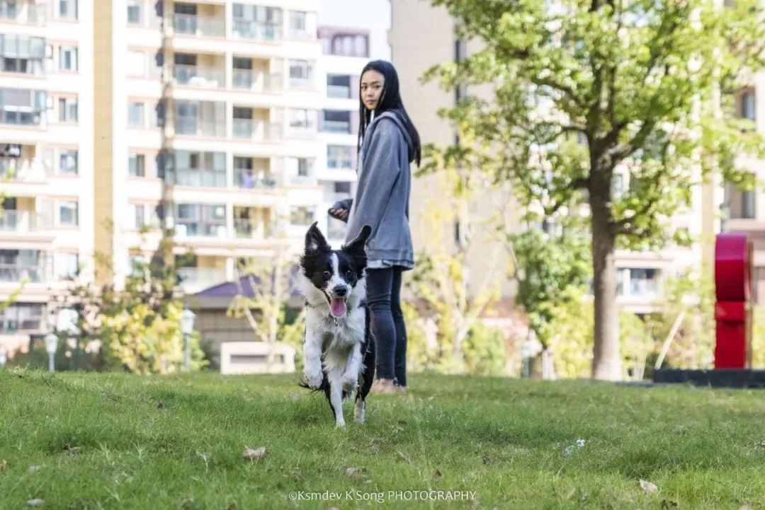 贵阳电子驾驶证开通了吗,贵阳犬证编号