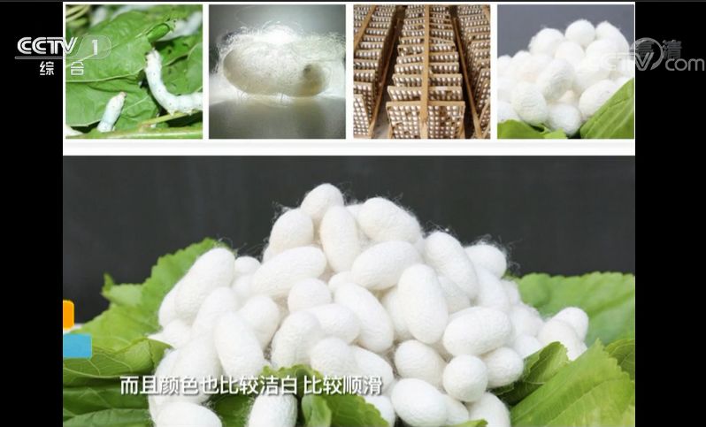 天气渐渐暖和了换被子蚕丝被,天气转凉暖被子