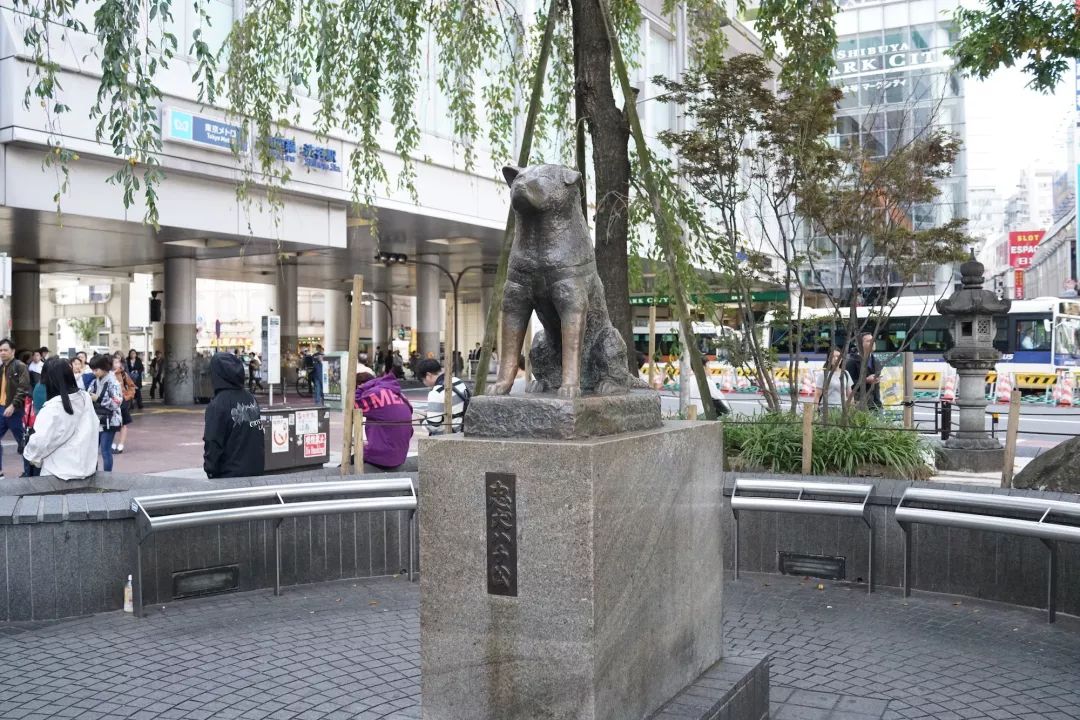 大阪女生最喜欢逛的药妆店,日本本地人爱去的药妆店