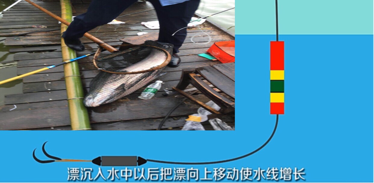 加粗2目挂蚯蚓调漂方法图解,七星漂带双钩调漂的正确方法图解
