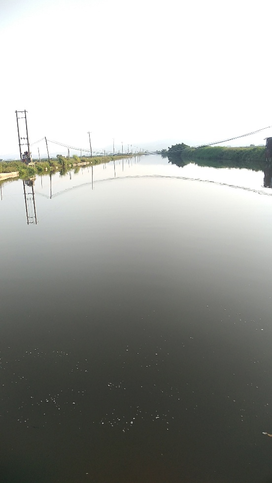 带友渔乐记渔获20斤，钓鱼不能*欢偷**