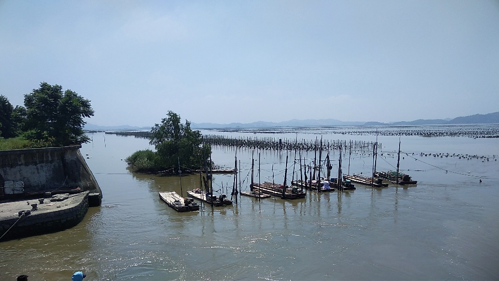 带友渔乐记渔获20斤，钓鱼不能*欢偷**