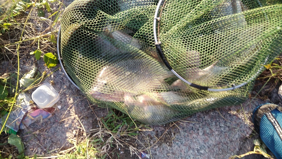 带友渔乐记渔获20斤，钓鱼不能*欢偷**