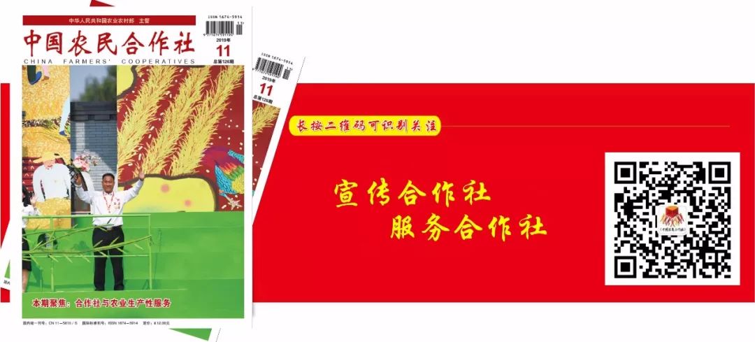 象山文化节视频,象山枇杷节开幕式