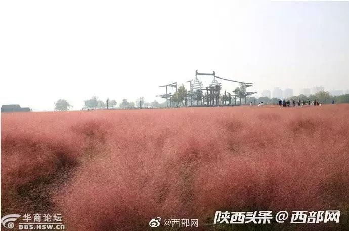 西安轮胎被扎,陕西一车主被扎坏72条轮胎