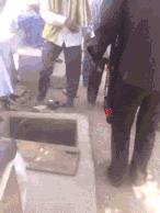 双11防坑--我的预售与价格保护的较真故事