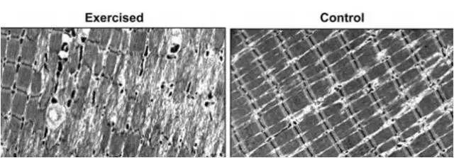 马拉松跑完了怎么排酸,跑完马拉松一直口渴咋办
