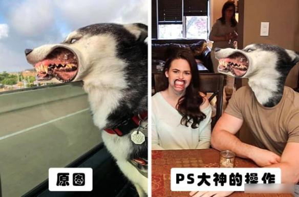 你绝对没见过的ps大神搞笑p图对比,求ps大神帮忙p图搞笑