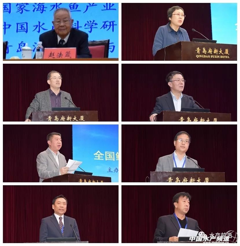 促进产业转型升级实现高质量发展,关于促进渔业持续健康发展的意见