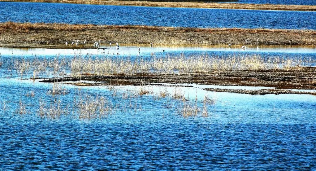 临淄好玩的风景区,临淄附近的山景点有哪些