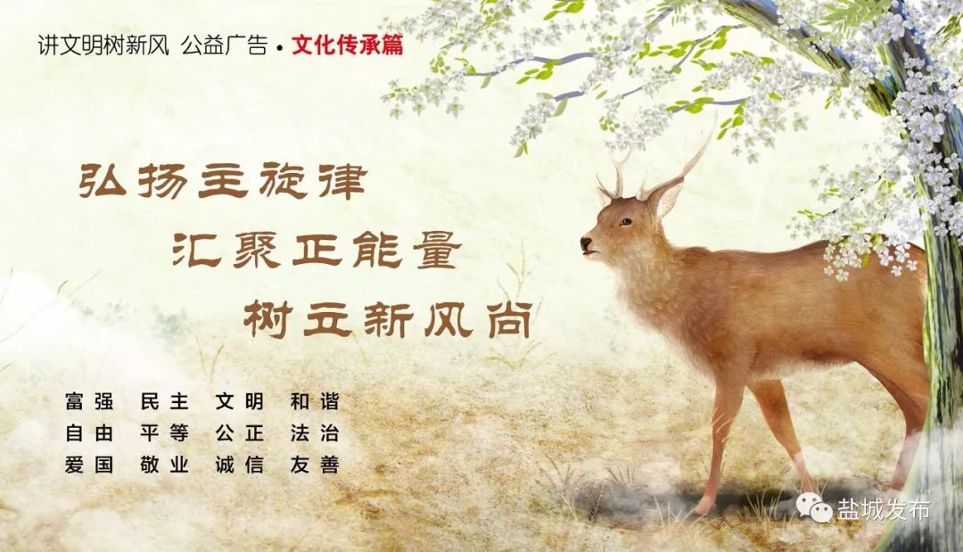 盐城市医保下调最新消息,盐城医保降价