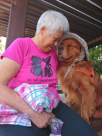 汪奶奶和孙女拍照,汪奶奶和孙女花絮