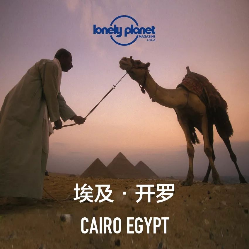 一半海水一半火焰在血液中奔跑,一半海水一半火焰在线阅读