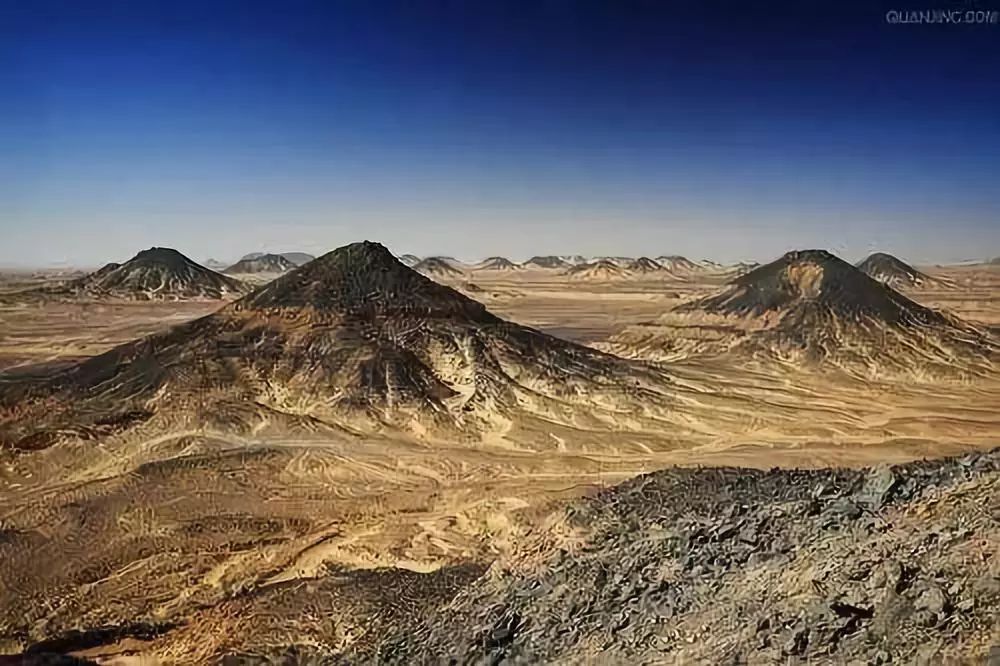 一半海水一半火焰在血液中奔跑,一半海水一半火焰在线阅读