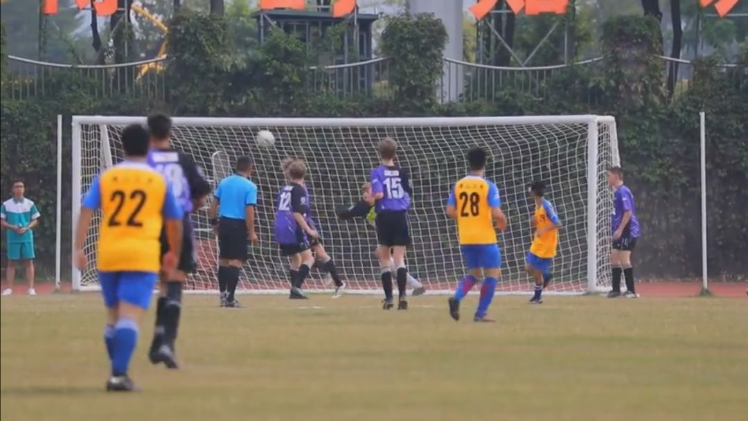 佛山市学习强国,学习强国一天一两百分怎么搞