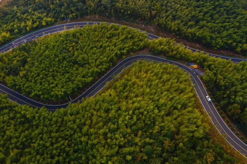 天呐！被南京这些路圈粉！