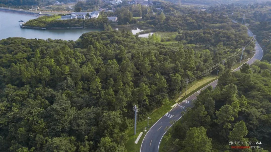 天呐！被南京这些路圈粉！