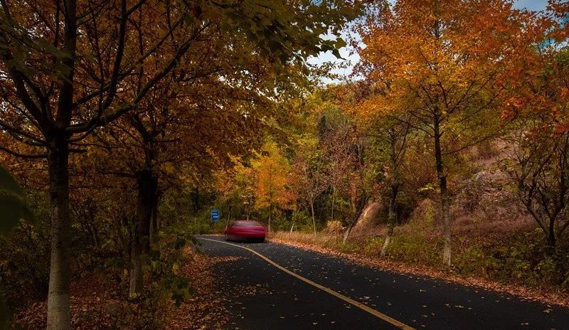 天呐！被南京这些路圈粉！