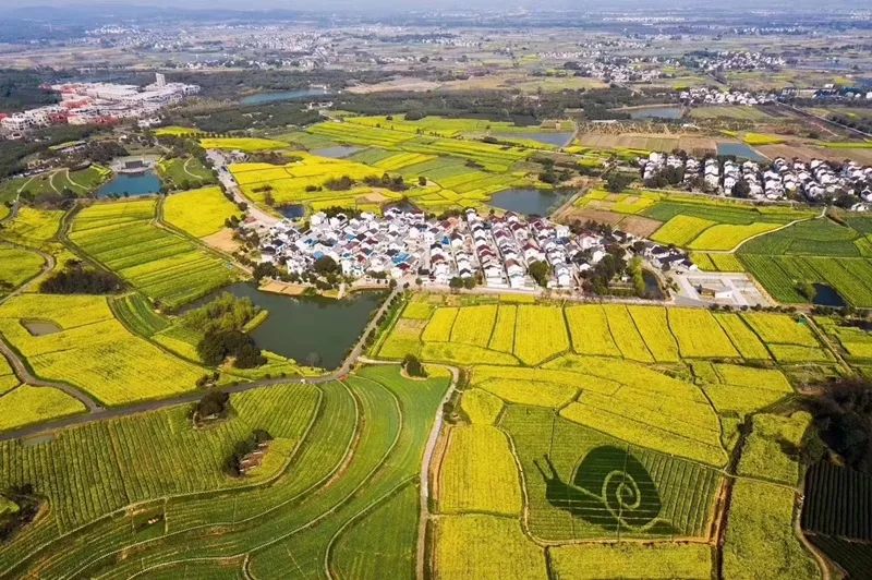 天呐！被南京这些路圈粉！
