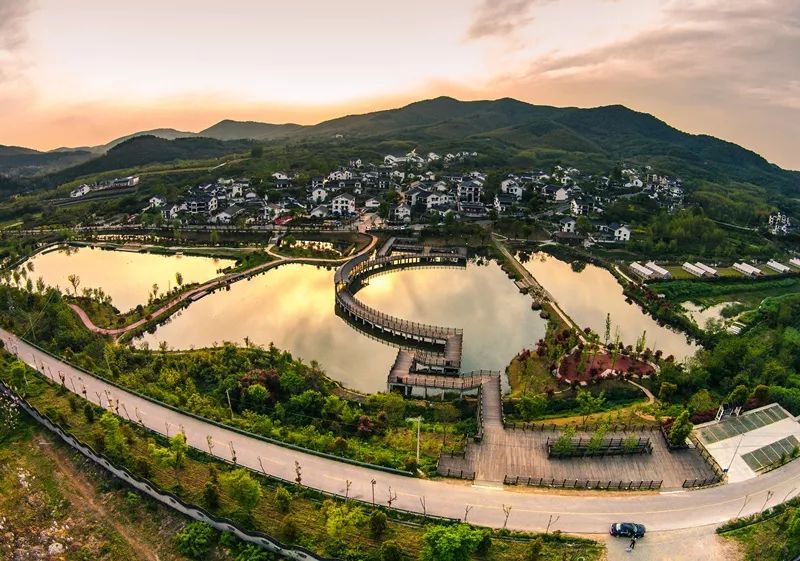 天呐！被南京这些路圈粉！