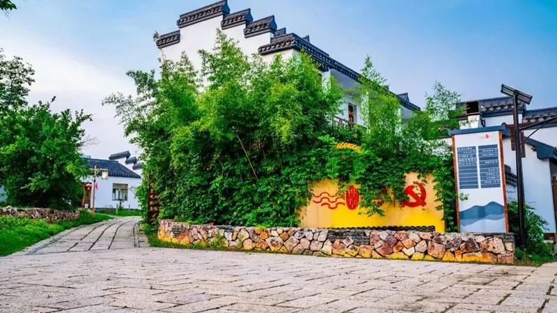 天呐！被南京这些路圈粉！