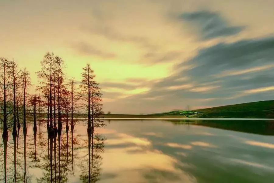 天呐！被南京这些路圈粉！