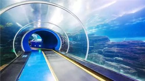 @所有人抢票！仅需1分钱！青岛超20000张景区门票开抢！内含方特、海底世界、崂山......